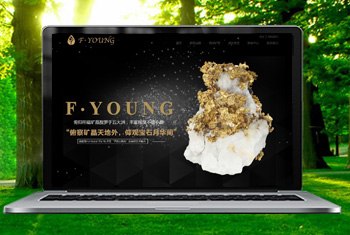 �ɽ�������ﱦʯ